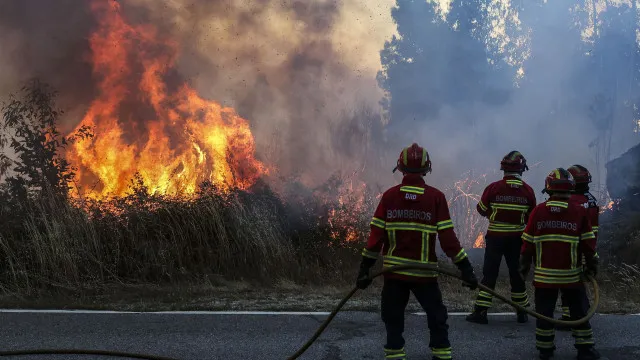 
                    Troço do IP2 cortado em Castro Verde devido a fogo em área agrícola
                