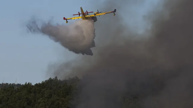 
                    Guarda. Onze meios aéreos combatem fogo em mato no Sabugal
                