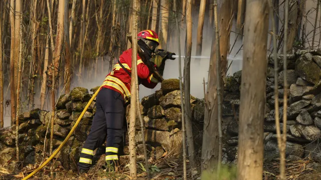 
                    Dominado incêndio em Setúbal
                