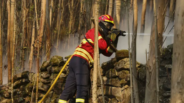 
                    Fogo no Sabugal com duas frentes, uma delas para o concelho da Guarda
                