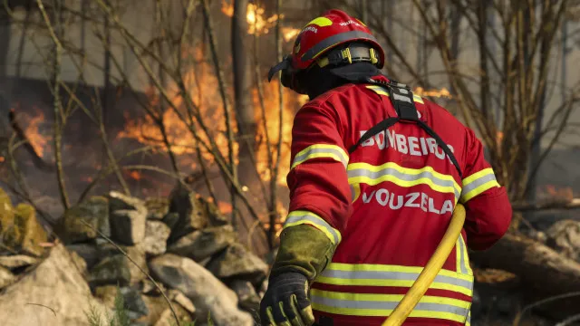 
                    Mais de 1.200 operacionais combatem fogos ativos em Vouzela e Mangualde
                