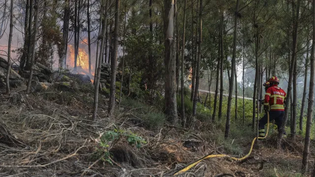 258 operacionais e nove meios aÃ©reos combatem Ã s 16:00 um fogo na Guarda
