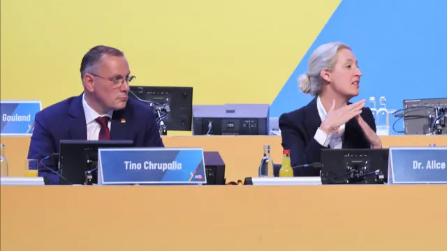 
                    Liderança do partido de extrema-direita AfD reeleita antes das regionais
                