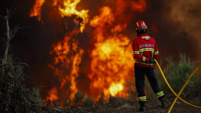 
                    Fogo consome mato e pinho no concelho de Bragança
                