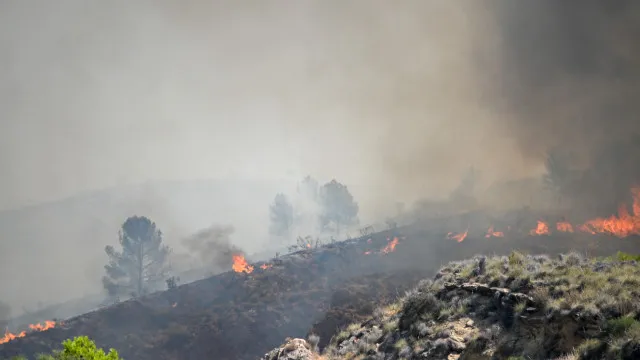 Presidente do PP alerta para semanas "exigentes" no combate aos fogos