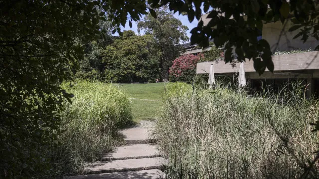 Museu Gulbenkian reabre hoje com entrada gratuita - mas hÃ¡ mais