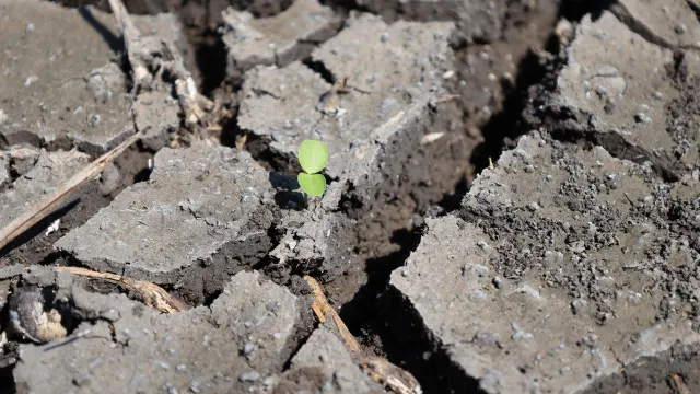 Brasil anuncia plano para enfrentar efeitos climÃ¡ticos do El NiÃ±o