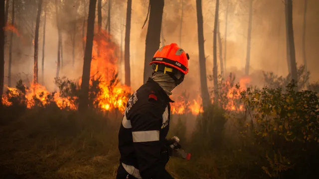 
                    França apoia vítimas dos incêndios com mais de 100 milhões
                