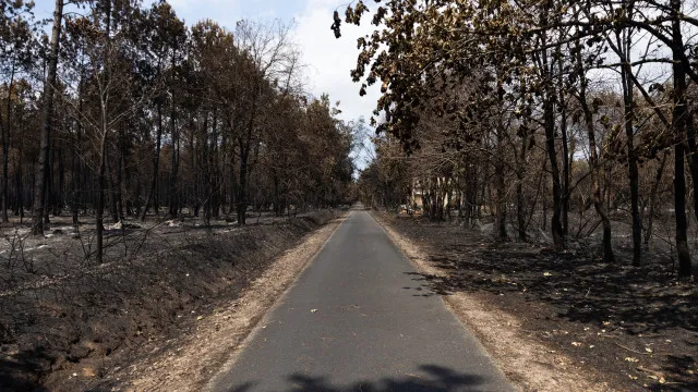 
                    Incêndios e calor preocupam autoridades em França e em Itália
                