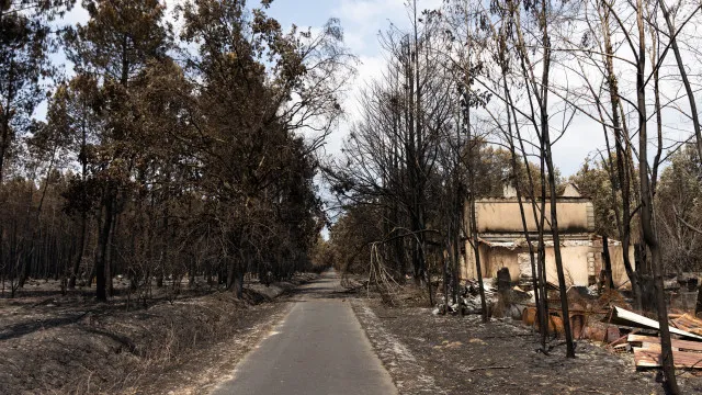 FranÃ§a diz que fogos estÃ£o "sob controlo" e prepara reconstruÃ§Ã£o