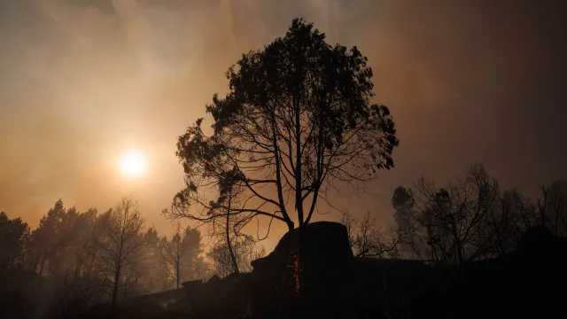 
                    Mais de 5.700 incêndios nos primeiros sete meses do ano
                