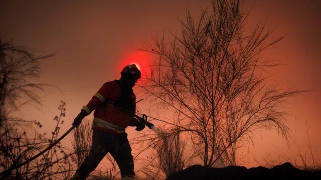 
                    Mais de 500 operacionais combatem fogo de Valpaços, que está em resolução
                
