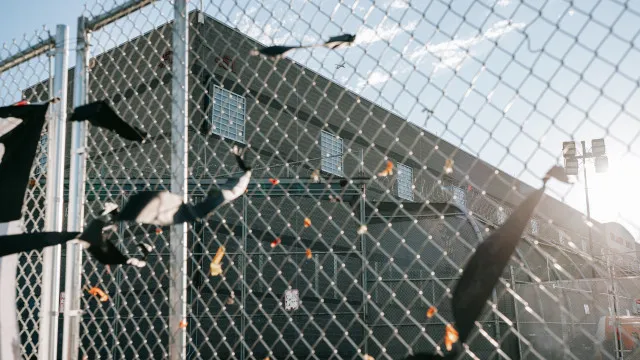 
                    Detenção de migrantes durante administração Trump atinge nível mais alto
                
