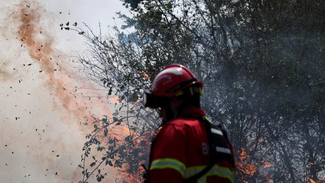 
                    Número de operacionais no fogo de Santa Marta de Penaguião ultrapassa 200
                
