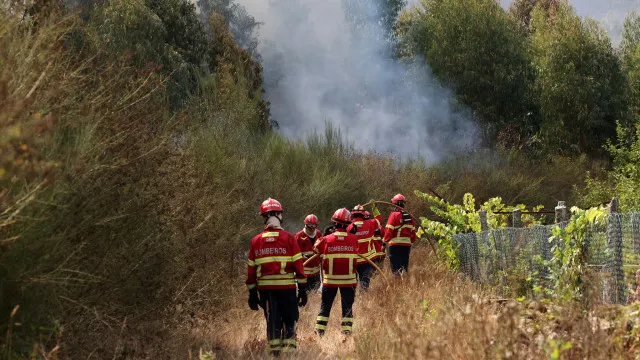 
                    Mais de 1.100 combatem fogos em Moncorvo, Santo Tirso e Arouca
                