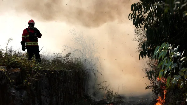 
                    Cerca de 60 concelhos do interior Norte e Centro em perigo máximo de incêndio
                