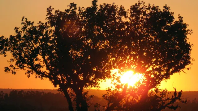 
                    UNESCO quer 1.º geoparque num país africano ou asiático da CPLP até 2036
                