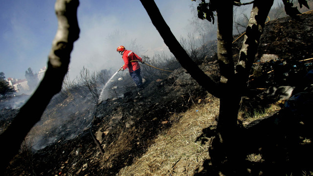 Fogo no Alandroal obriga à retirada de moradores. 