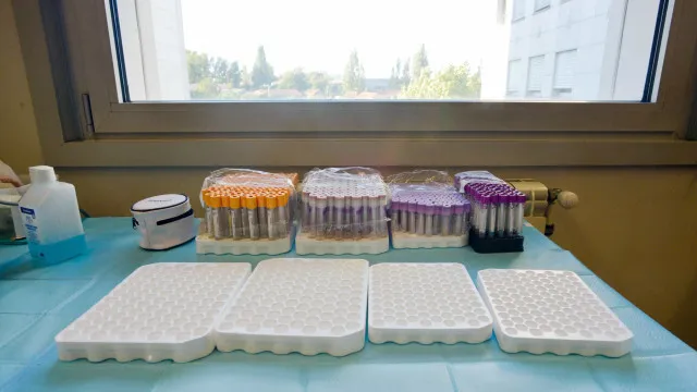 
                    Técnico de sangue detido pela PJ foi proibido de entrar em Coimbra
                