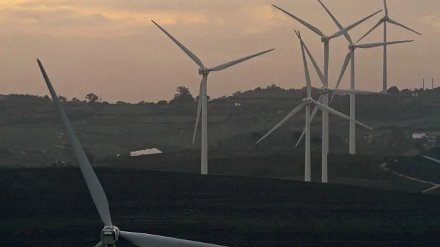Estudo: IA pode aumentar produtividade nas energias renováveis até 25%