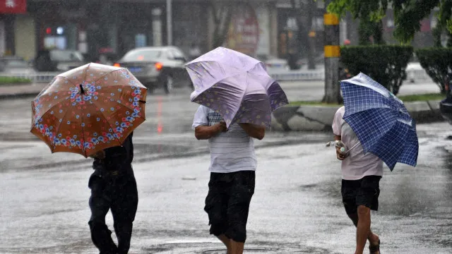 
                    Flores e Corvo com aviso amarelo devido à chuva
                