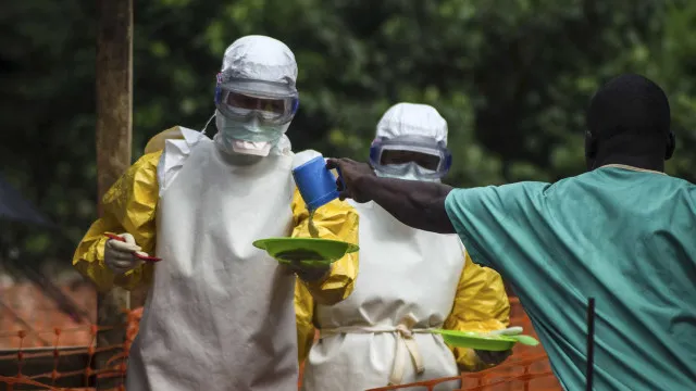 Diretor do IHMT tranquiliza Portugal e Angola sobre risco de Ébola