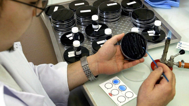 Legionella: Após contra-análise balneário de escola em Valongo pode abrir