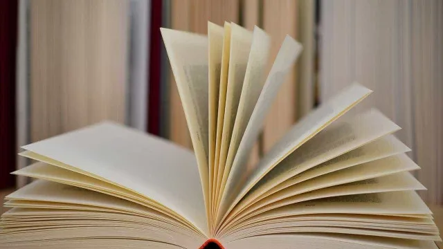 
                    O que escritores de língua portuguesa mudariam no idioma?
                