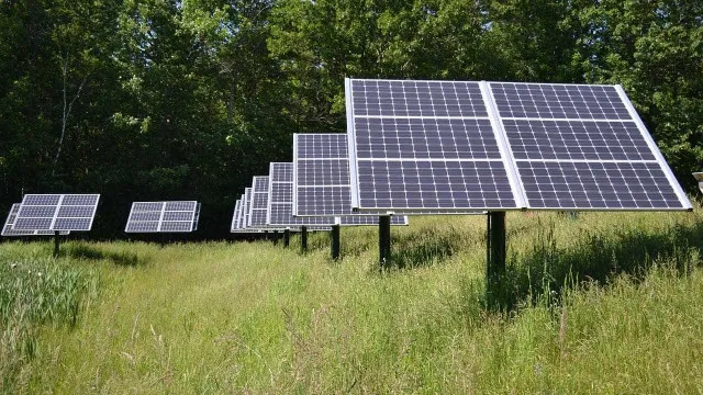 
                    Penamacor exige que projetos solares respeitem limite de ocupação
                