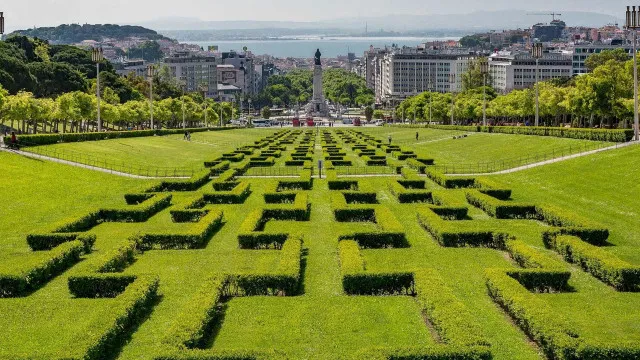 
                    Bilhetes a 300€ e 75 mil em apoio: Piquenique alvo de polémica em Lisboa
                