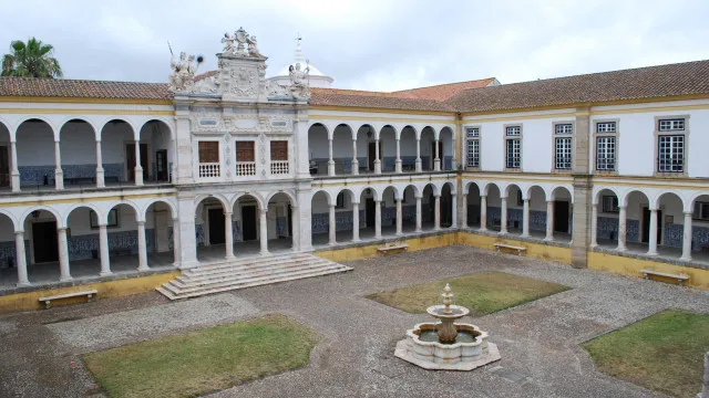 
                    Universidade de Évora identifica novas espécies de tartarugas exóticas
                