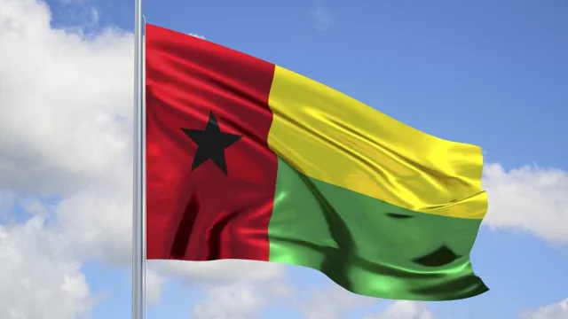 
                    Bissau com taxa de participação acima de 50% no referendo à Constituição
                