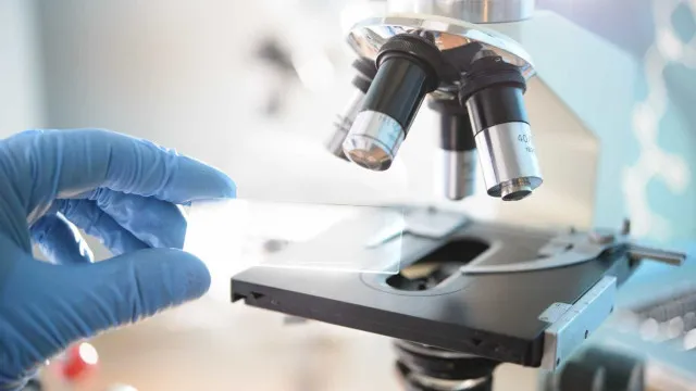 
                    Investigadores portugueses querem regressar, mas faltam oportunidades
                