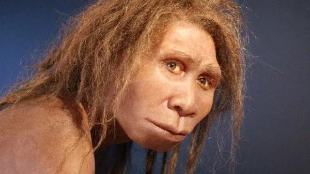 
                    Nova investigação muda história do fogo na evolução humana
                