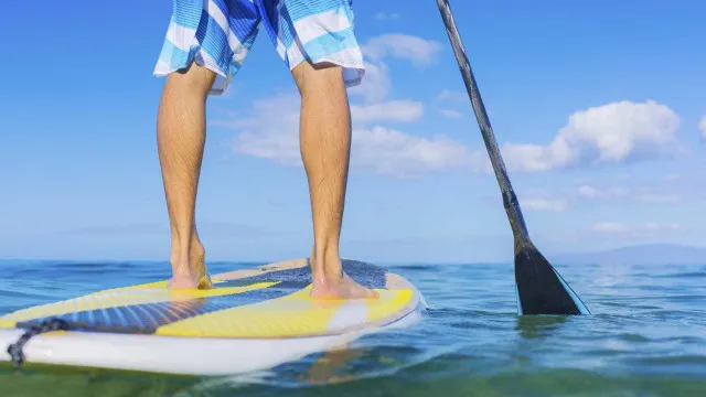 
                    Vídeo. Vão de paddle à procura de tubarão e acabaram perseguidos por ele
                