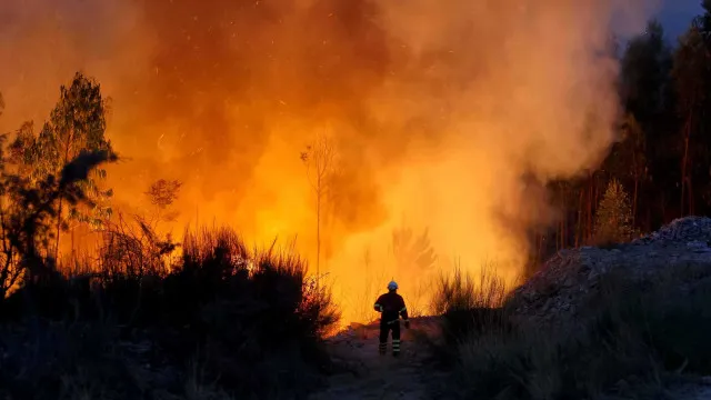 
                    Incêndios: GNR deteve este ano 103 pessoas, mais 35 do que em 2025
                