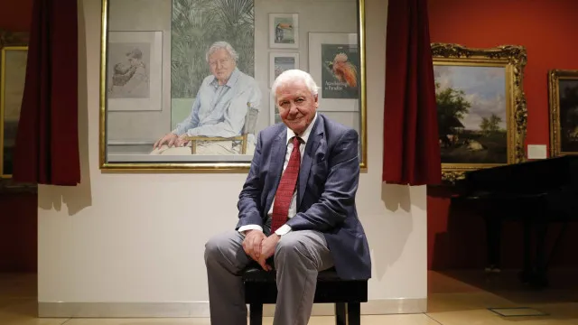 
                    Nova vespa batizada em homenagem ao naturalista David Attenborough
                