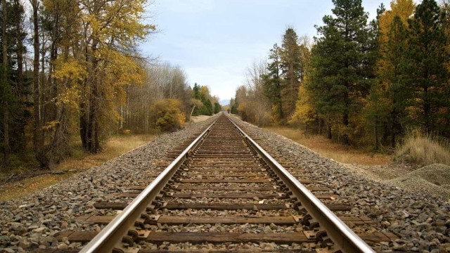 Mercadorias. Governo quer rever taxa de uso da infraestrutura ferroviária
