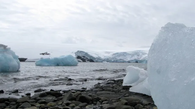 
                    Calor marinho ameaça plataformas de gelo da Antártida, confirma estudo
                