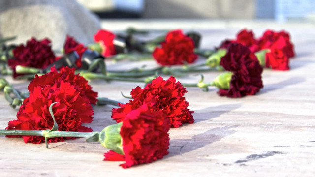 Rosas brancas mas também cravos vermelhos em sessão solene inédita