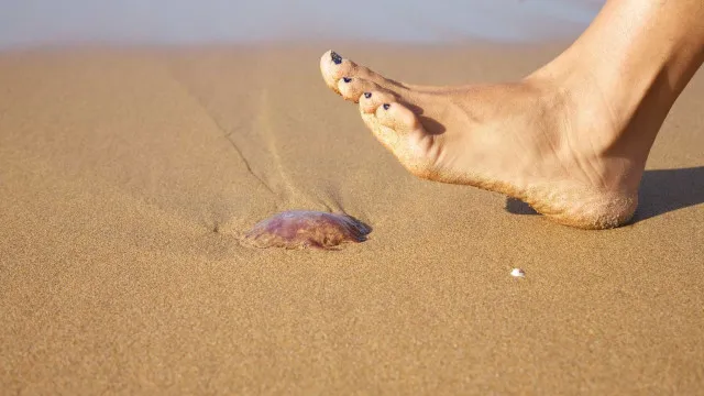 
                    Na praia, 