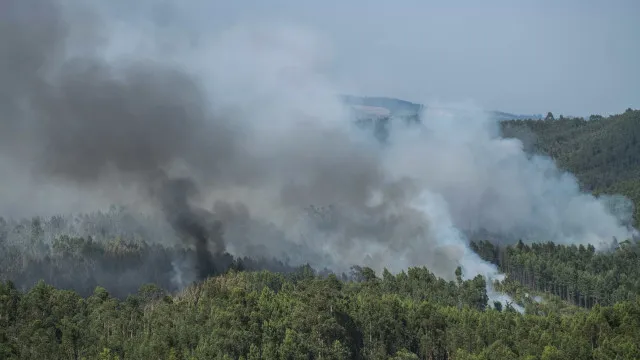 
                    Vítimas de Pedrógão Grande pedem reforço da vigilância na região
                