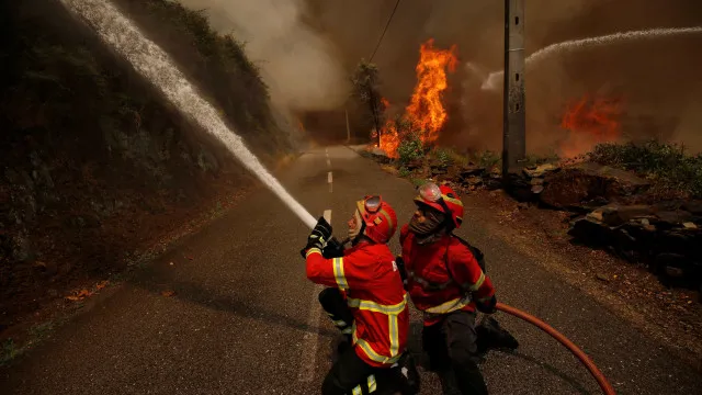 
                    Combate a fogo em Alijó dificultado pelo vento forte e difíceis acessos
                