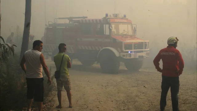 
                    Mais de 50 concelhos do interior em perigo máximo de incêndio
                