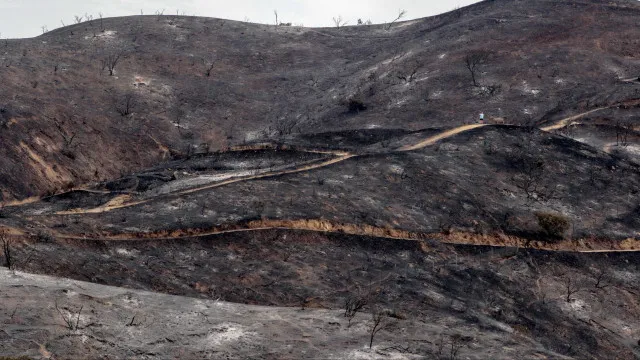 
                    Portugal teve mais incêndios este ano, mas área ardida caiu 73,5%
                