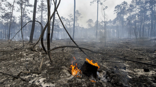 Incêndios? Mais de 80 concelhos em risco máximo em Portugal continental