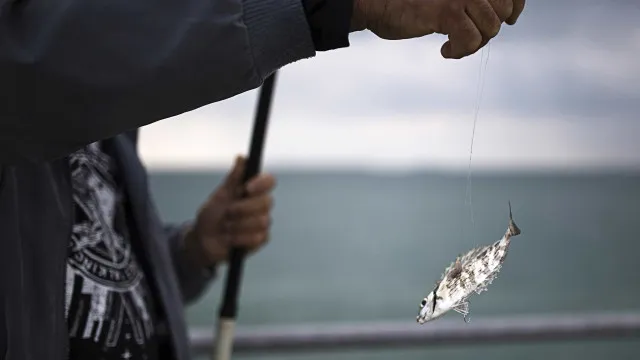 
                    Bruxelas abre processo contra Portugal por falhas no controlo das pescas
                