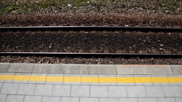 IncÃªndio corta circulaÃ§Ã£o ferroviÃ¡ria entre SetÃºbal e Palmela