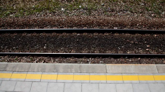 Atropelamento ferroviário condiciona Linha do Norte. Circulação alternada
