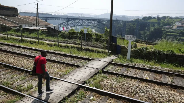 
                    Ponte rodoferroviária no Douro terá dois tabuleiros. Saiba tudo
                